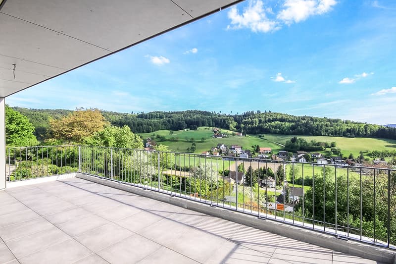 Dreamy 4.5-room apartment with a wonderful view and many parking spaces (10)