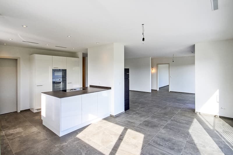 Dreamy 4.5-room apartment with a wonderful view and many parking spaces (2)