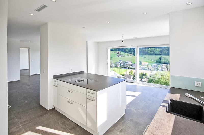 Dreamy 4.5-room apartment with a wonderful view and many parking spaces (1)