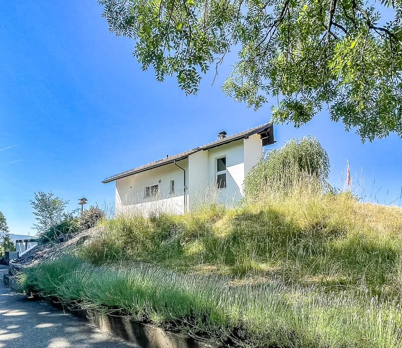 Coming soon: Single-family house with pool and private woodland at a wonderful scenic location (1)