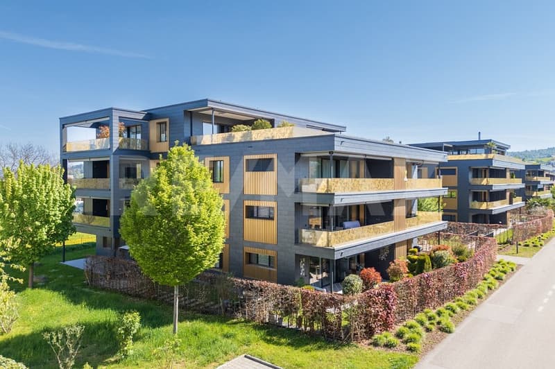 Modern 3.5-room garden apartment in Holziken (1)