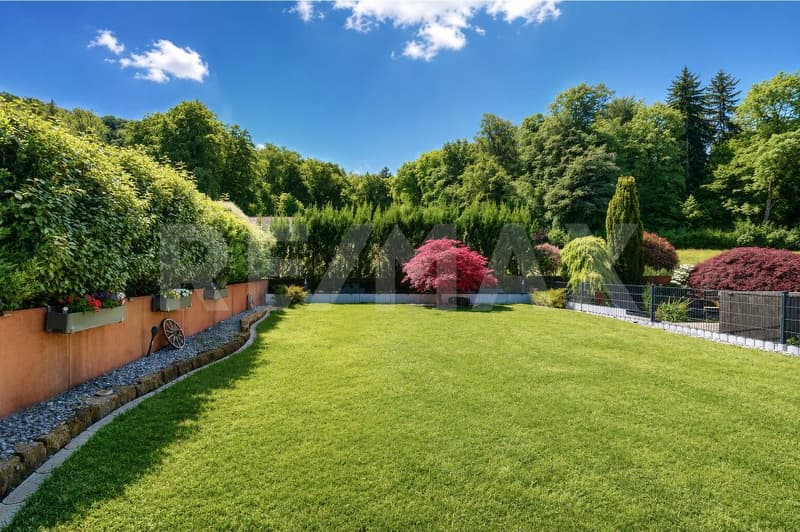 Spacious 6.5-room semi-detached house in an idyllic forest edge location (1)