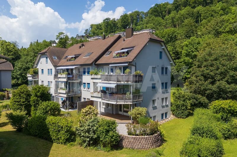 Appartement de jardin moderne 4.5 pièces avec grand jardin, salle de loisirs séparée et 2 places de parking souterraines à Niedergösgen (1)