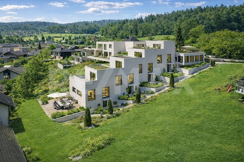 Nähe A1 und Lenzburg, 4 REFH, Hanglage mit Weitsicht, Penthouse-Attikazimmer, Terrasse und Garten (2)