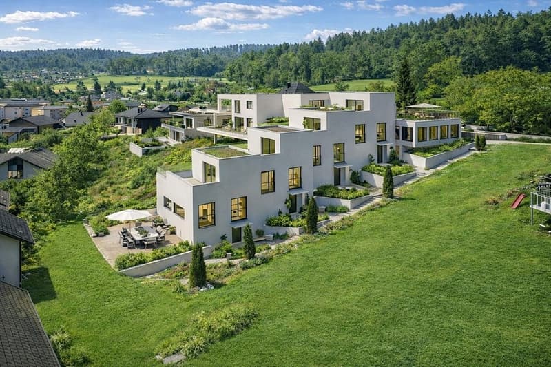 Nähe A1 und Lenzburg, 4 REFH, Hanglage mit Weitsicht, Penthouse-Attikazimmer, Terrasse und Garten (1)