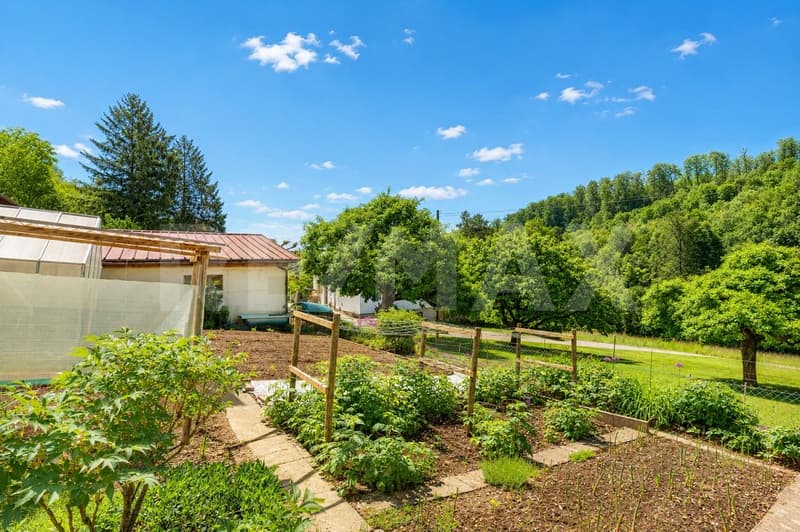 5'933 m² Nature-connected, self-sufficient, free & undisturbed Your personal paradise in Bad Zurzach (5)