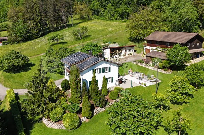 5'933 m² Nature-connected, self-sufficient, free & undisturbed Your personal paradise in Bad Zurzach (1)