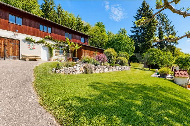 5'933 m² Nature-connected, self-sufficient, free & undisturbed Your personal paradise in Bad Zurzach (6)
