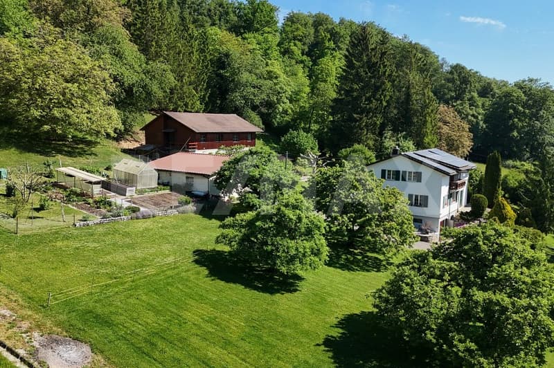 5'933 m² Nature-connected, self-sufficient, free & undisturbed Your personal paradise in Bad Zurzach (3)