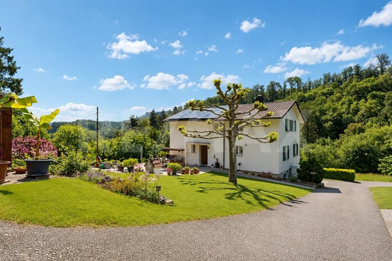 5'933 m² Nature-connected, self-sufficient, free & undisturbed Your personal paradise in Bad Zurzach (8)
