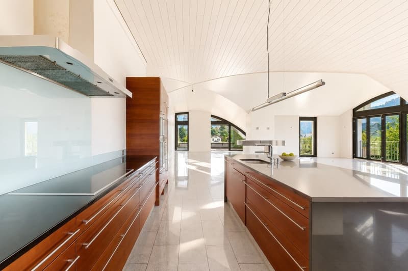 Exclusive 3.5 - 5.5 room attic penthouse 246 m² NWF, 4 terraces, in the center, 3 double garages, lift, (8)