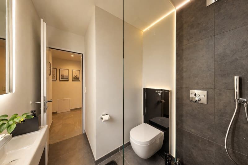 Moderne, entretenu, convaincant | 5.5+ pièces maison | Vivre à un niveau élevé (8)