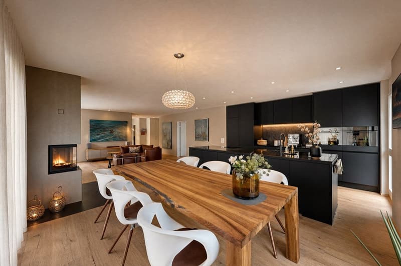 luxuriöses und modernes Attika-Penthouse mit viel Charme und Charakter (3)