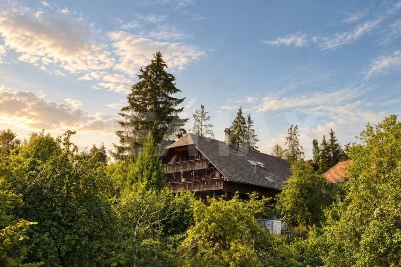 attraktives Bauland zu attraktivem Preis (3)