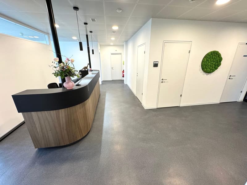 DAMMPARK: Spazio esclusivo per ufficio o studio vicino alla stazione di Frick (2)