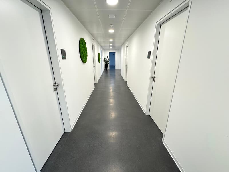 DAMMPARK: Exklusive Bürofläche oder Praxis beim Bahnhof Frick (5)
