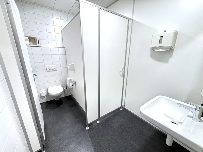 modern bathroom, white walls, tiled floor, white toilet, white sink, metal handles, white toilet paper dispenser