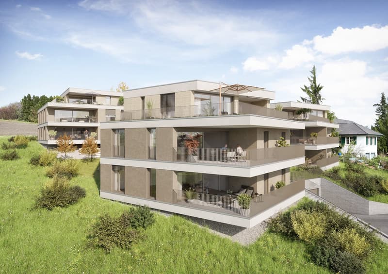 LIVING WITH A VIEW: New 4.5-room apartment in Wegenstetten (3)