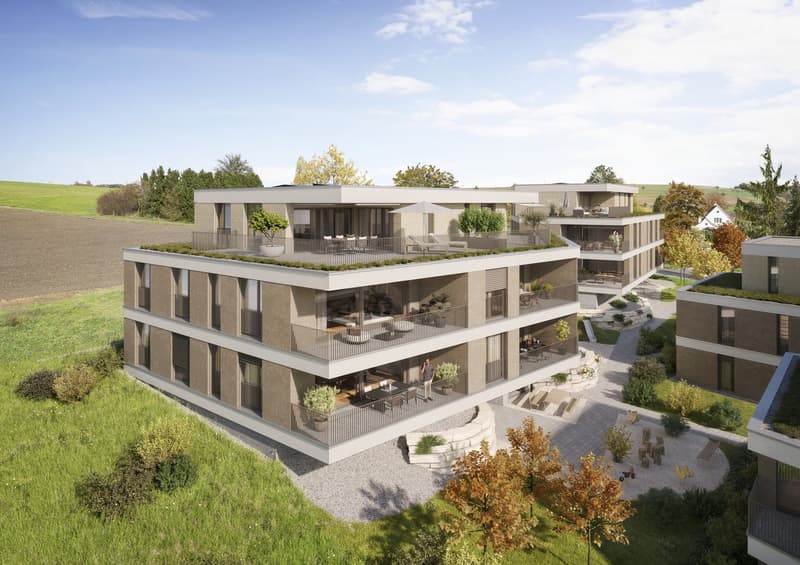 LIVING WITH A PANORAMIC VIEW: New 4.5-room apartment in Wegenstetten (5)