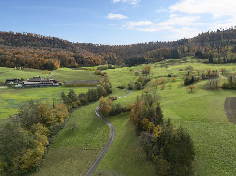 aerial view, grassy field, winding road, building in distance, hills, scattered trees