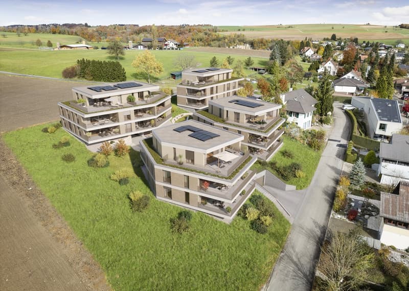 4 interconnected buildings, raised ground floors, green roofs, balconies, solar panels, modern design
