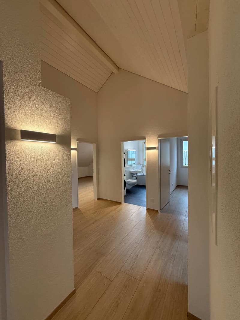 LA TUA NUOVA CASA: Appartamento moderno 5,5 locali con balcone (12)