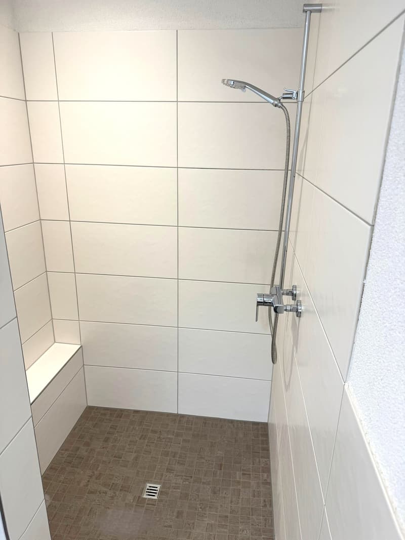 Grosszügige 3.5-Zimmer-Wohnung zu vermieten. (11)