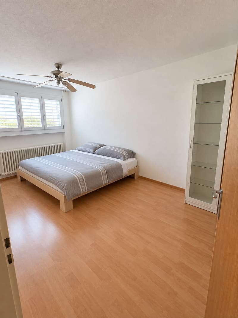 GROSSZÜGIG: Moderne 5.5-Zimmer-Wohnung (6)