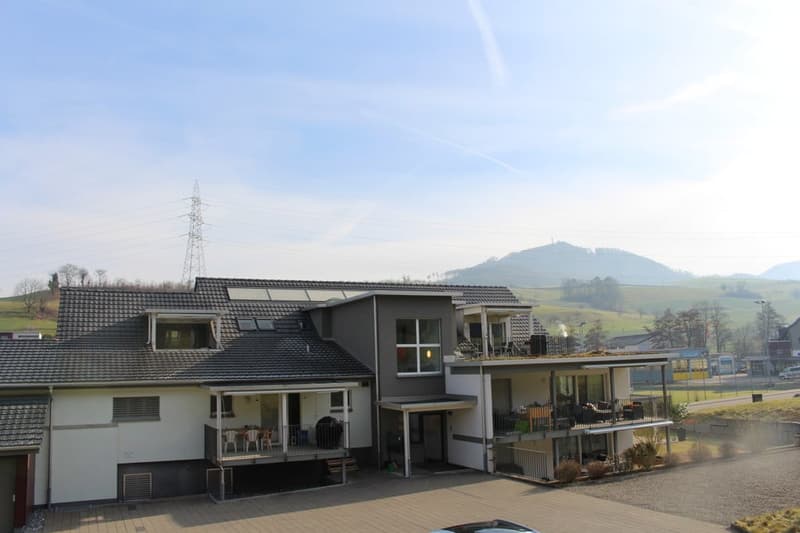 GROSSZÜGIG: Moderne 5.5-Zimmer-Wohnung (10)