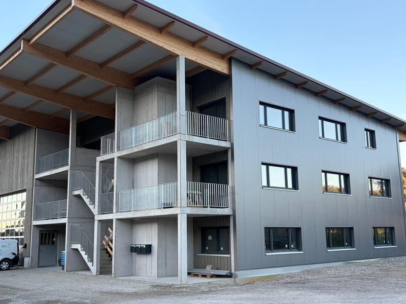 NEUBAU Gewerbeliegenschaft: Büroräume zu vermieten (2)