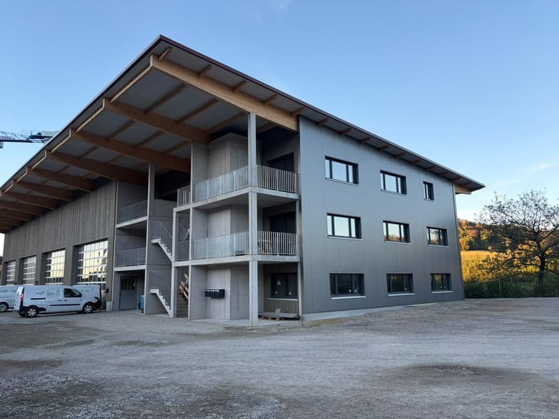 NEUBAU Gewerbeliegenschaft: Büroräume zu vermieten (1)