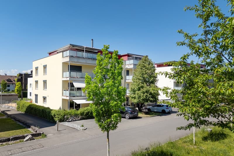 Exklusiver Attika-Wohntraum mit 113 m² Sonnenterrasse in Mellingen (2)