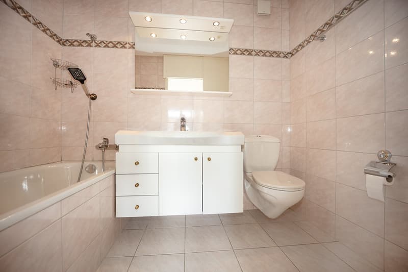 Attractive 4.5-room owner-occupied apartment in a preferred residential area (14)