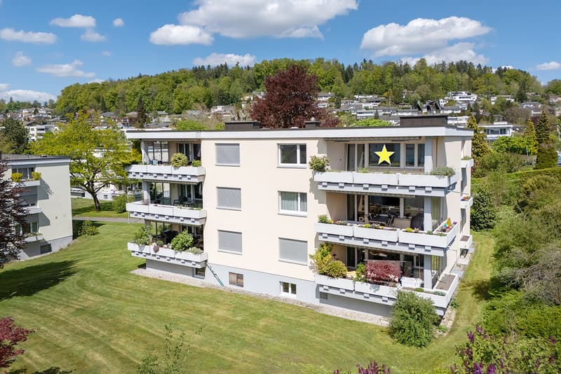 Attractive 4.5-room owner-occupied apartment in a preferred residential area (1)