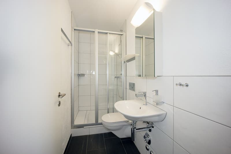 Attractive 4.5-room owner-occupied apartment with large sun balcony (6)