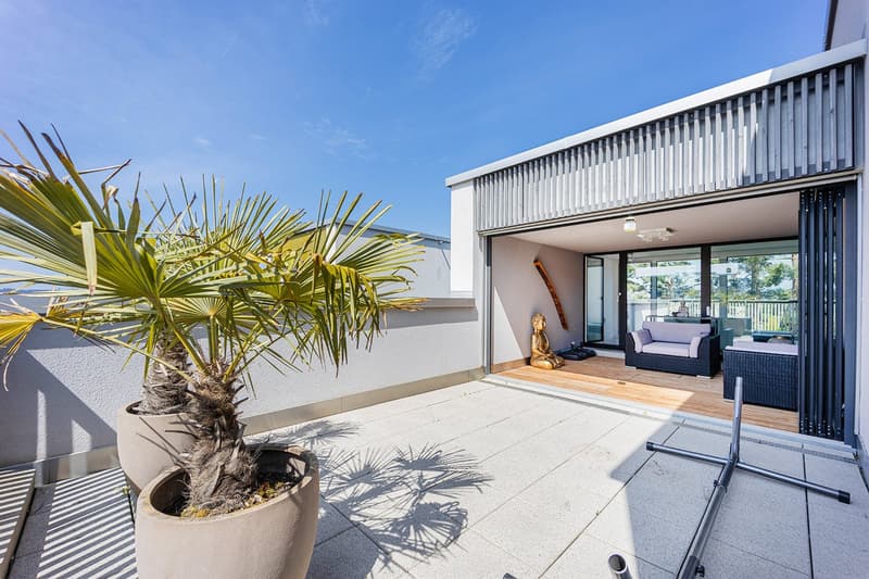 Exclusive MINERGIE row house in an attractive residential area (13)