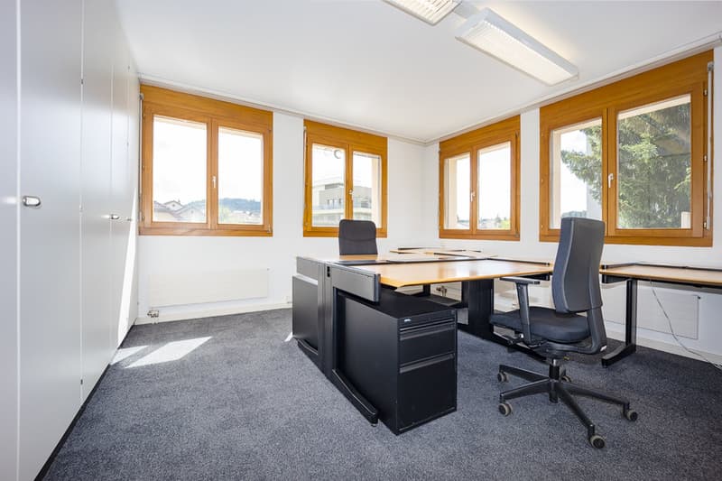 Espaces commerciaux et de bureaux multifonctionnels attractifs avec infrastructure de haute qualité (10)