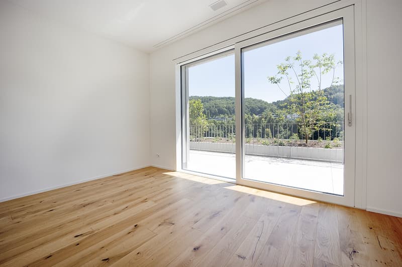 Neue exklusive Attika-Maisonette-Terrassen-Eigentumswohnung an Top-Wohnlage in Nussbaumen (13)