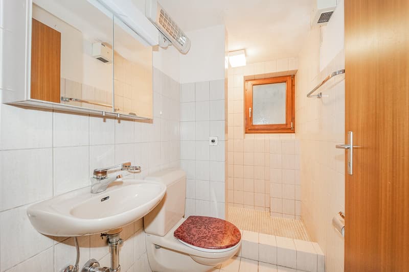 Freistehendes 5,5-Zimmer-Einfamilienhaus mit Wintergarten und attraktivem Grundstück (13)