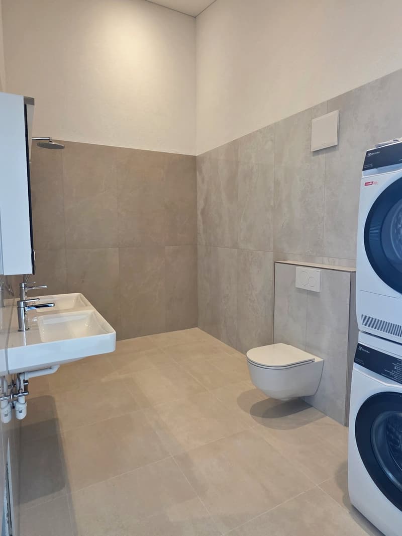 Erstbezug - Exklusive Neubau-Dachwohnung in Eiken (3)