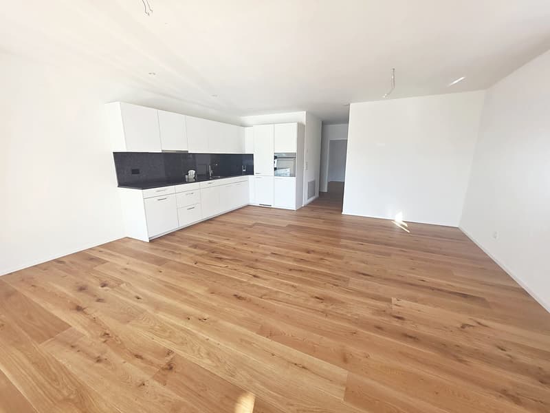 Neubau in Eiken - wunderschöne helle Wohnung inkl. Garage und Parkplatz (1)