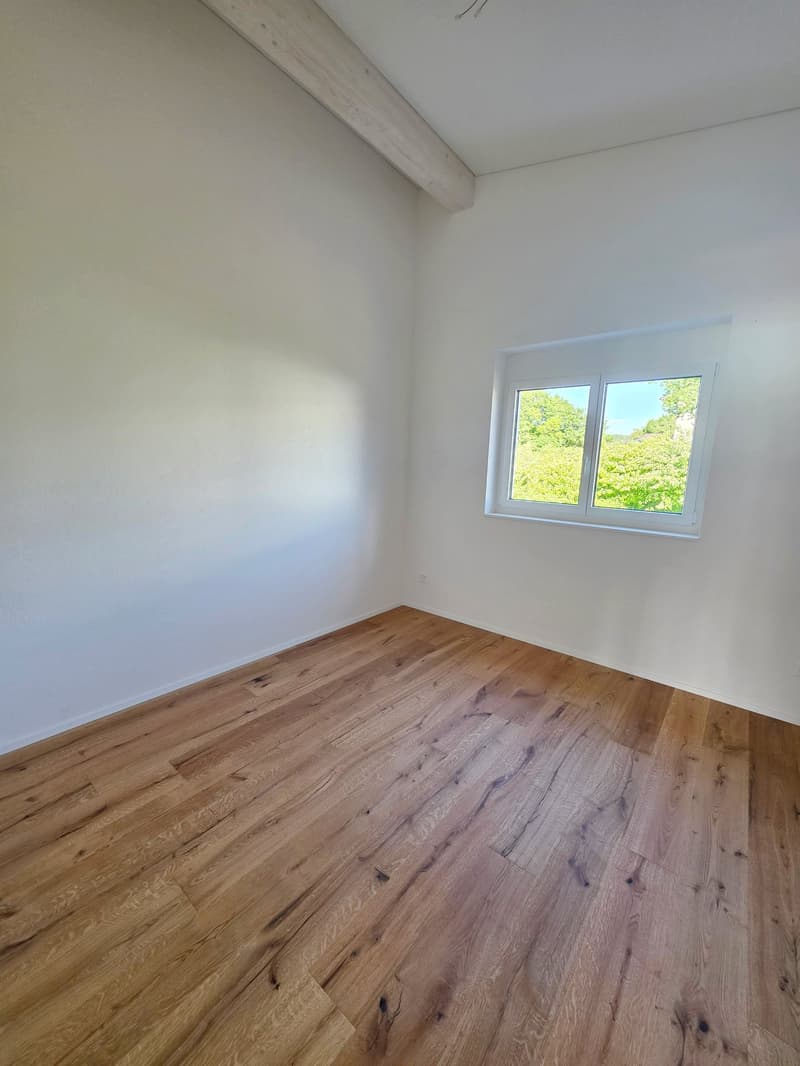 Wunderschöne, helle Dachwohnung - Neubau (7)
