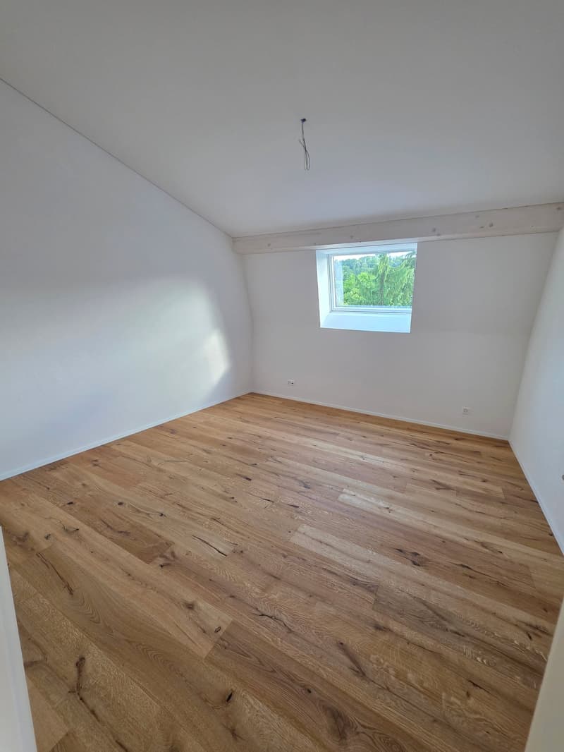 Wunderschöne, helle Dachwohnung - Neubau (5)