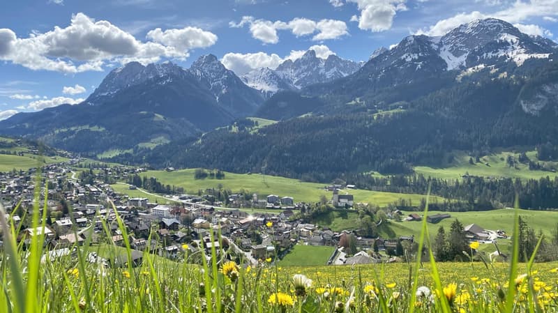 Image 11