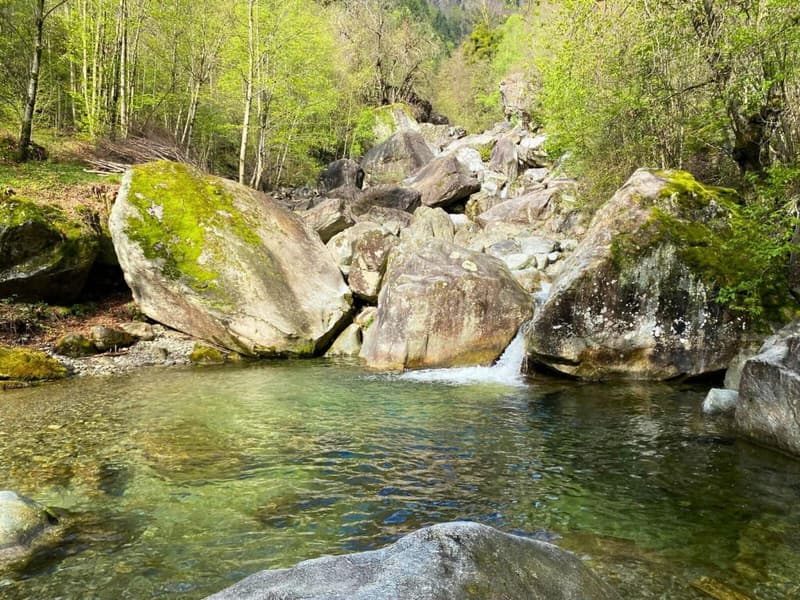 Image 4
