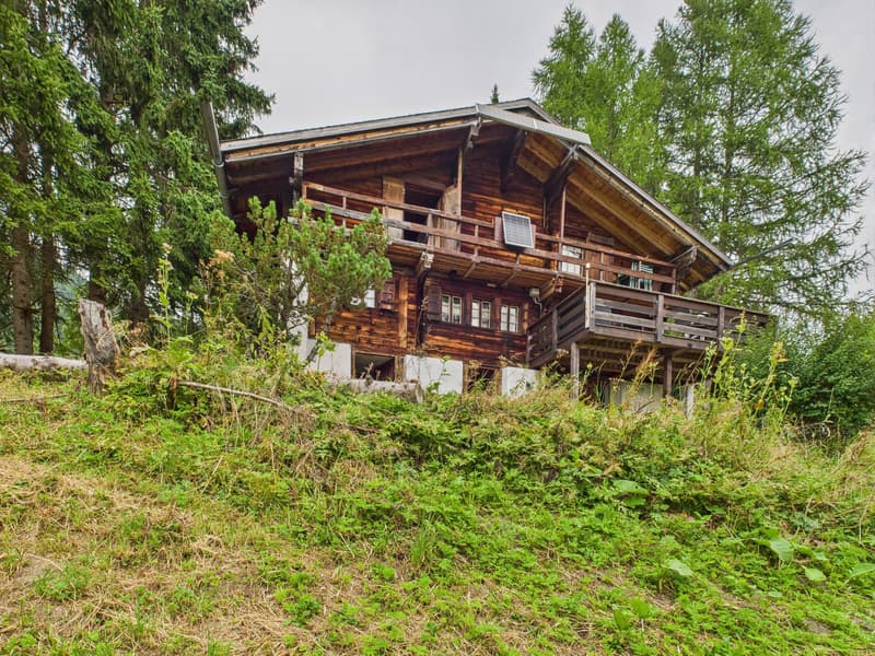 Image 11