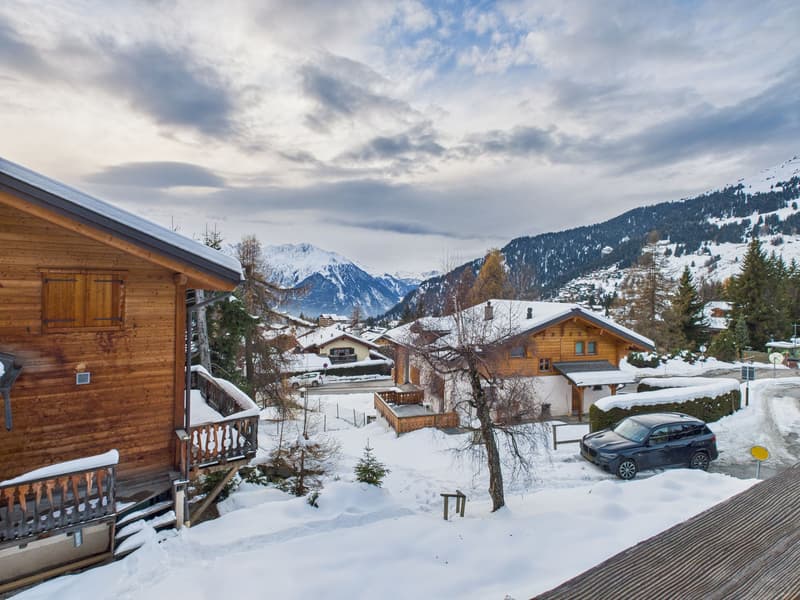 Image 11