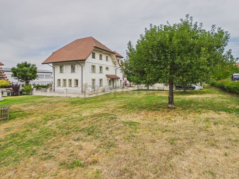 Image 11