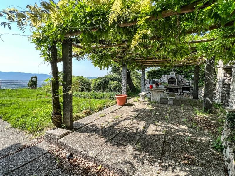 Image 8