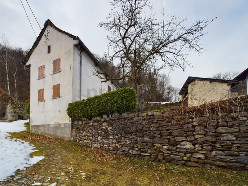 Image 11